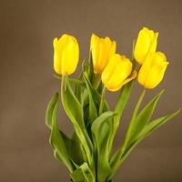 tulipas amarelas em uma superfície cinza