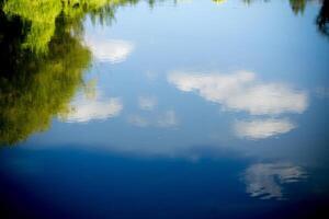 reflexão de árvores no rio foto