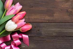 tulipas rosa e brancas foto