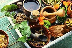 preparação de medicamentos a partir de ervas e plantas medicinais. foto