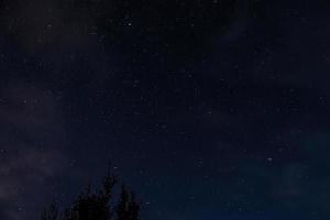céu estrelado à noite sobre a floresta. silhuetas de árvores contra o pano de fundo das estrelas. foto