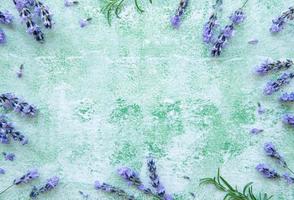 flores de lavanda e deixa moldura criativa em um fundo verde de madeira foto