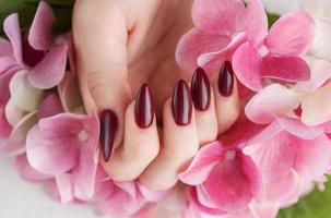 mãos de uma jovem com manicure vermelho escuro nas unhas foto