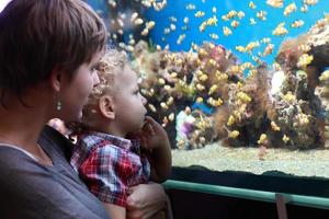 mãe com filho no aquário