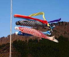 bandeiras de carpas com céu azul, japão foto