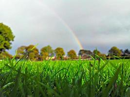 campo de grama com arco-íris