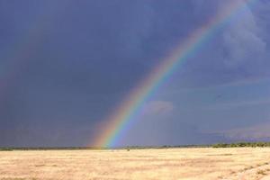 arco-íris no parque nacional de etosha namíbia
