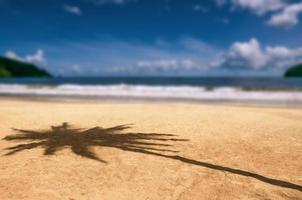 maracas bay trinidad and tobago beach palm tree shadow caribe foto