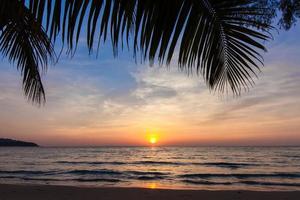 belo pôr do sol tropical com palmeiras. foto