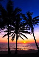 pôr do sol na praia. silhueta das palmeiras. foto