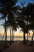palmeiras na costa tropical do sri lanka foto