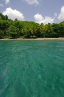 ilha tropical do caribe