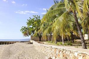 praia haitiana remota foto