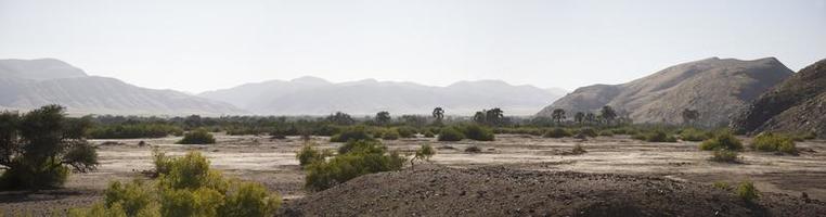 Reserva de caça Kaokoland na Namíbia foto