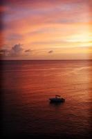 pôr do sol roxo do Caribe, Martinica, França.