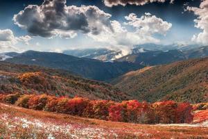 paisagem de outono colorida nas montanhas. foto