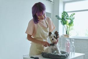 bela jovem escovando cachorrinho no salão de beleza foto