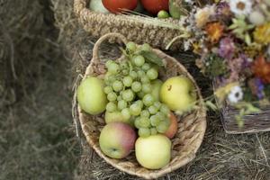 colheita de outono de frutas e legumes. frutas e legumes na cesta. detalhes da mesa. comida saudável. Produtos naturais. foto