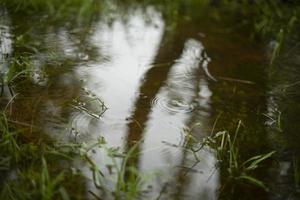 água na primavera. poça no parque. detalhes da natureza. textura da água. foto