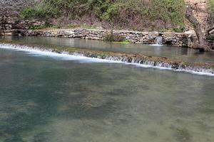 vegetação nas margens de um rio no norte de israel foto