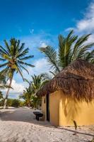 cabanas cabanas na praia de areia branca do caribe, tulum, méxico (yucatão)