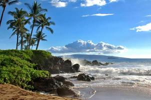 praia tropical havaiana foto