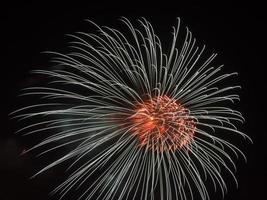 fogos de artifício na forma de uma flor de duas cores