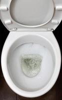 uma foto de um vaso sanitário de cerâmica branca no processo de lavagem. louças sanitárias cerâmicas para corrigir a necessidade com um dispositivo de descarga automática