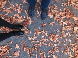 dois pares de pernas em lindos sapatos lisos de couro preto em folhas de outono naturais de cor amarela e vermelha, marrom no asfalto foto