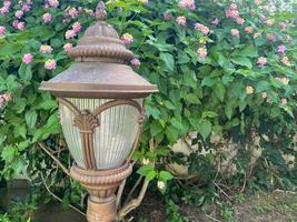 um belo poste de luz clássico antiquado em um arbusto de plantas com folhas verdes foto