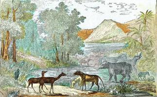 paisagem ideal do período eoceno, gravura vintage. foto