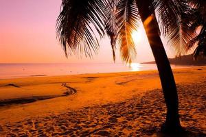 bela praia tropical do nascer do sol com palmeira e céu para viagens e férias em férias foto