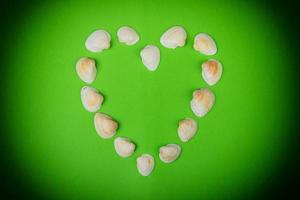 coração simbólico feito de conchas no fundo verde foto