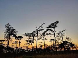 paisagem rural com um caminho, árvores e prados nas colinas, céu azul e agradável sol quente foto