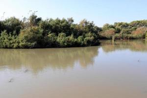 vegetação nas margens de um rio no norte de israel foto