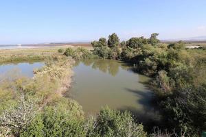 vegetação nas margens de um rio no norte de israel foto