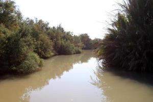 vegetação nas margens de um rio no norte de israel foto