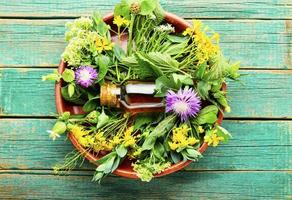 medicina natural, ervas frescas na mesa de madeira foto