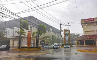 playa del carmen quintana roo méxico 2021 furacão playa del carmen méxico destruição devastação árvores quebradas. foto