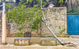 furacão 2021 playa del carmen méxico destruição devastação árvores quebradas. foto