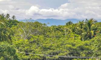 bela natureza com palmeiras e montanhas puerto escondido méxico. foto