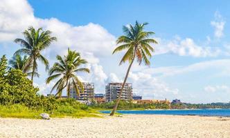 palmeiras guarda-sóis espreguiçadeiras resort na praia de playa del carmen, méxico. foto