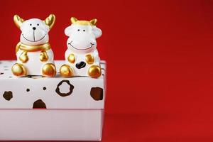 um par de figuras de vaca e touro em uma caixa de presente em um fundo vermelho, com espaço livre. foto