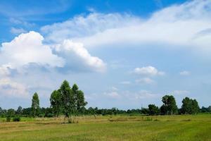 céu azul e nuvens e campos com árvores, fundo de paisagem natural na estação chuvosa foto