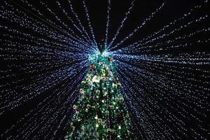 vista inferior da árvore de natal com belas luzes. decoração de ano novo. foto