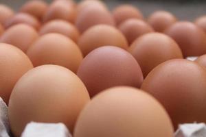 close-up de ovos de galinha crus na caixa de ovos foto
