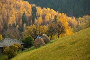 colorida paisagem de outono na aldeia de montanha. manhã de nevoeiro nas montanhas dos cárpatos na romênia. natureza incrível. foto