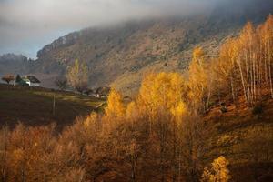 colorida paisagem de outono na aldeia de montanha. manhã de nevoeiro nas montanhas dos cárpatos na romênia. natureza incrível. foto