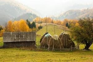 colorida paisagem de outono na aldeia de montanha. manhã de nevoeiro nas montanhas dos cárpatos na romênia. natureza incrível. foto