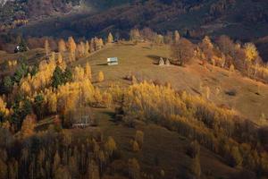 colorida paisagem de outono na aldeia de montanha. manhã de nevoeiro nas montanhas dos cárpatos na romênia. natureza incrível. foto